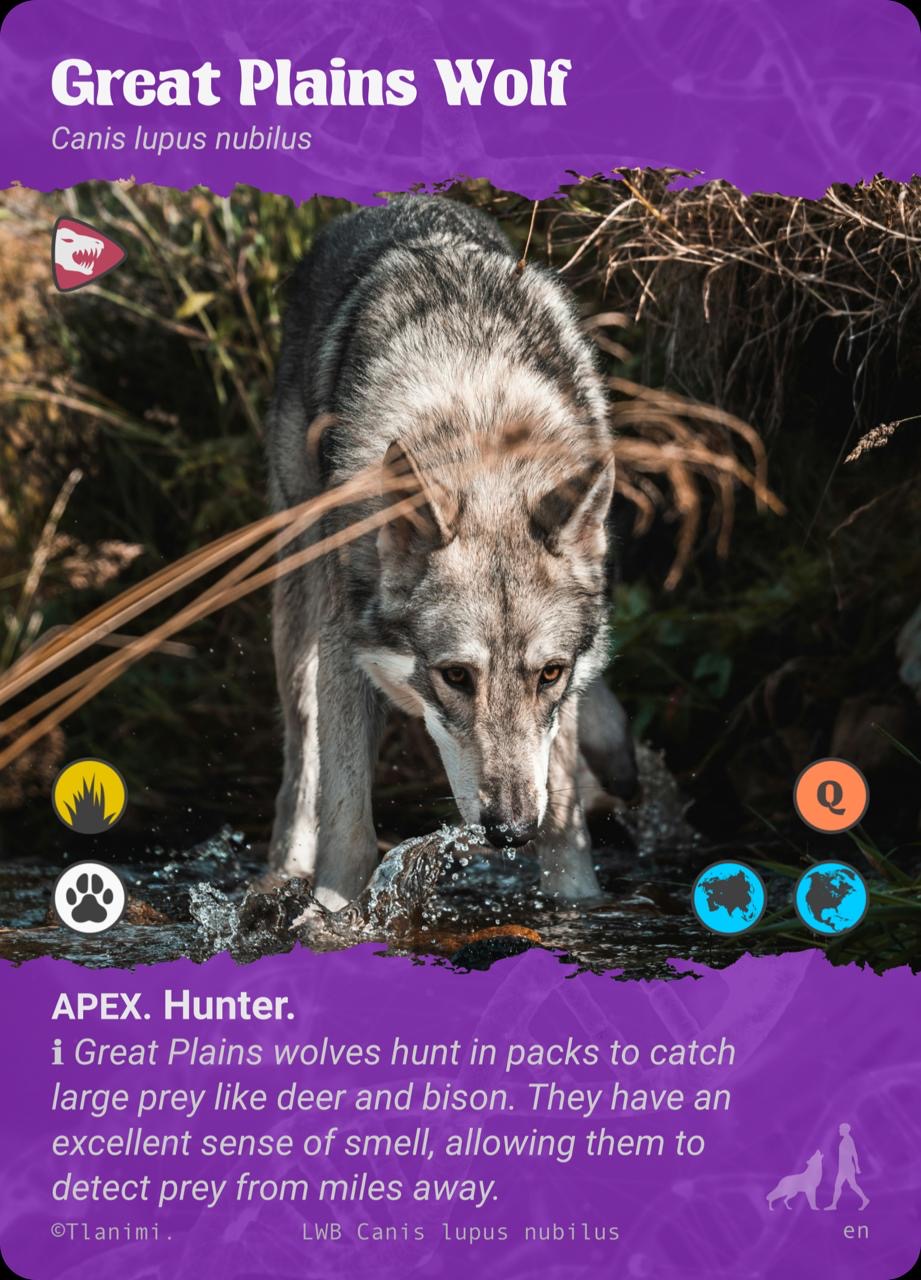 Apex Level