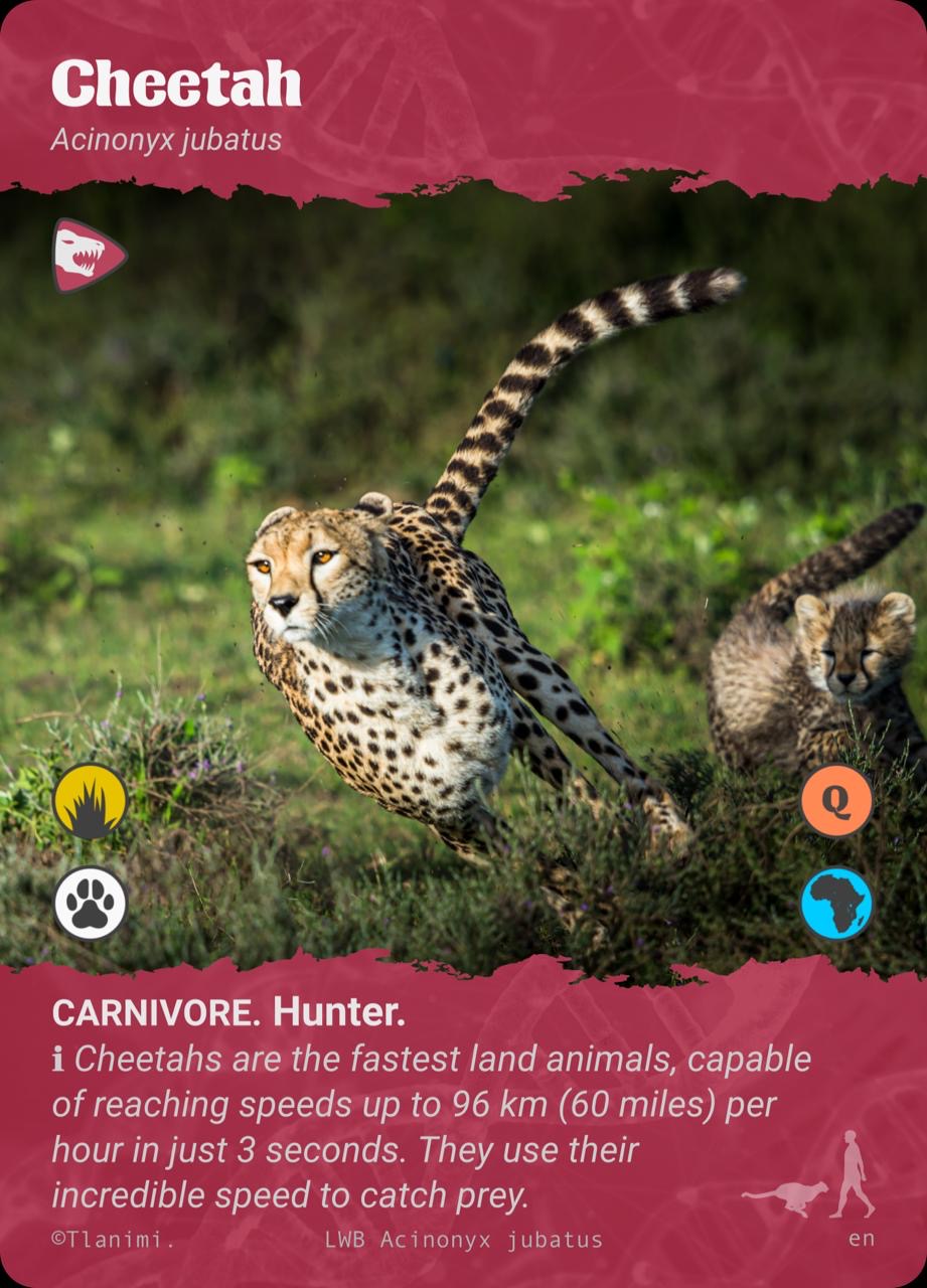 Carnivore Level