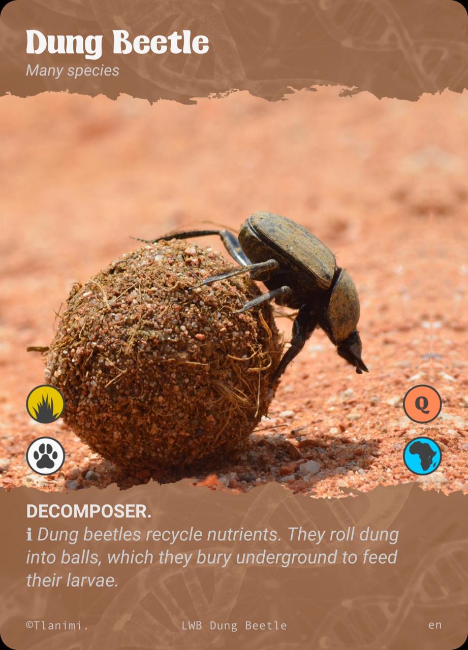 Decomposer Level