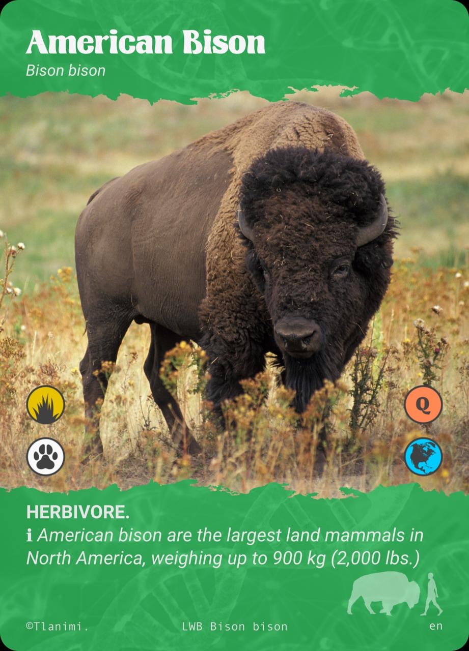 Herbivore Level