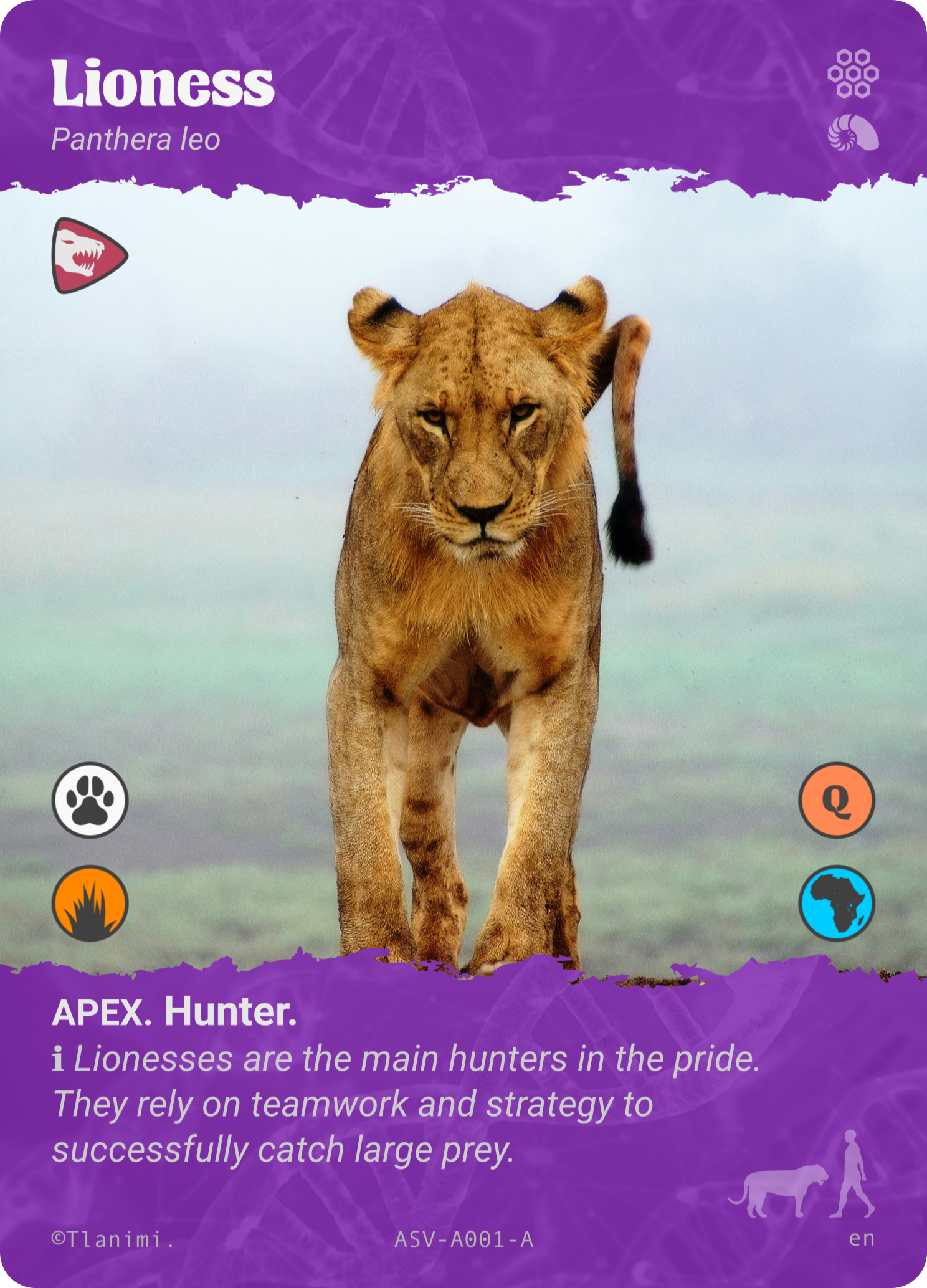 Hunter Card Example