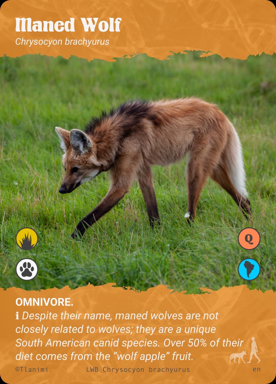 Omnivore Level