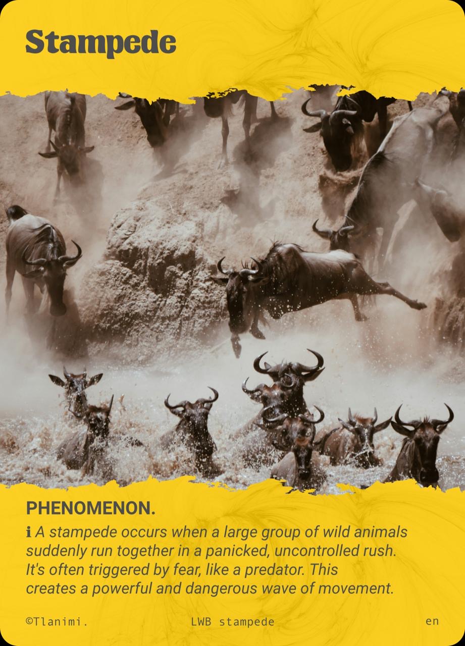 Phenomena Card