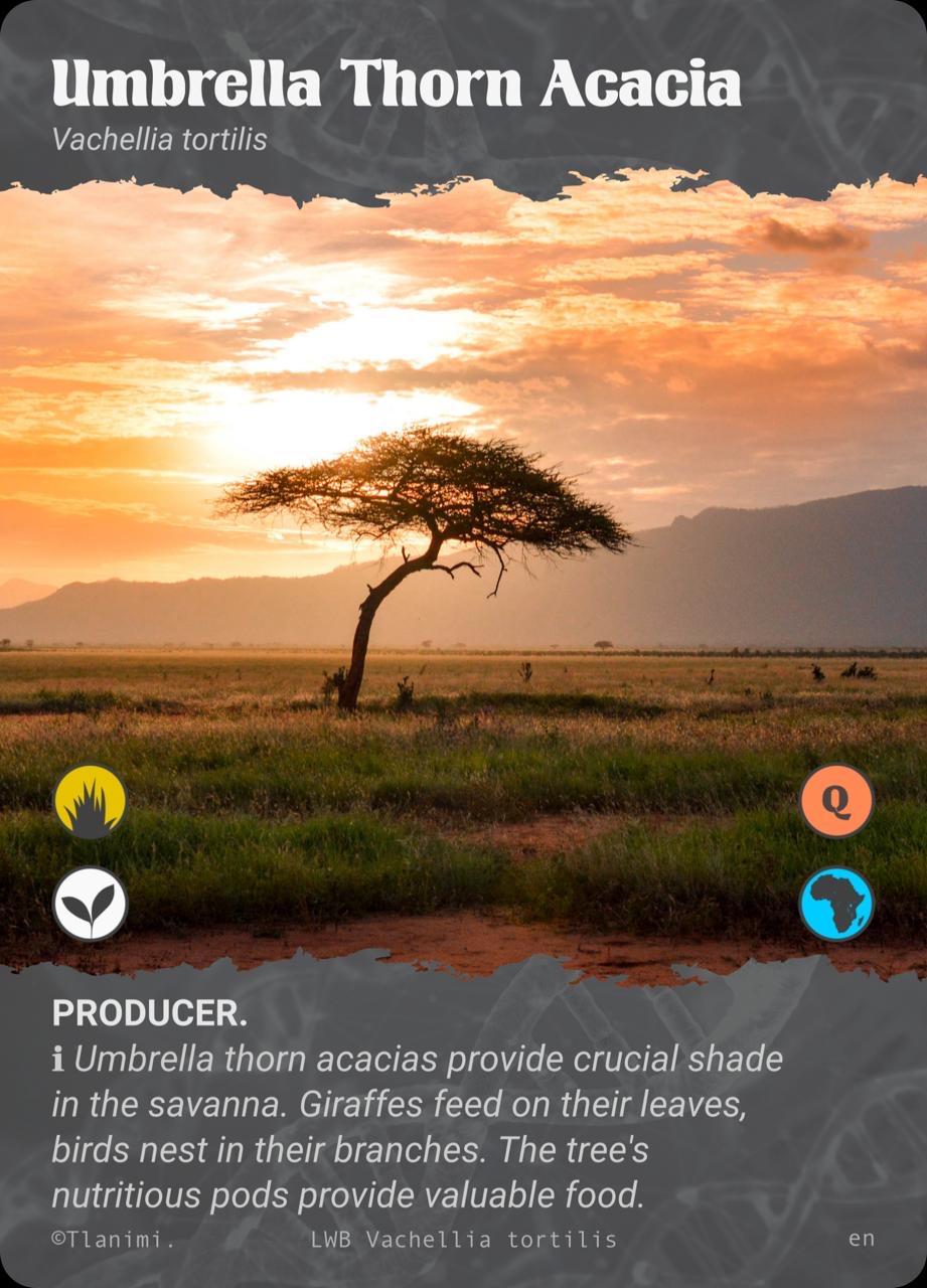 Producer Level